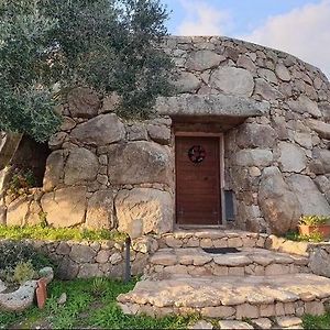 Il Nuraghe Del Lago Coghinas Acomodação com café da manhã Oschiri Exterior photo