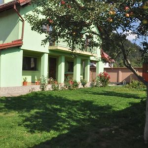 Vilman House Hotel Rîşnov Exterior photo