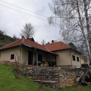 Kuca Za Odmor - Martic, Rudno, Golija Vila Kraljevo Exterior photo