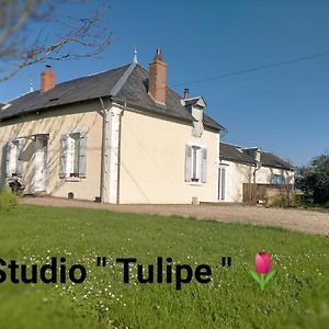 Studio "Tulipe" Dans Le Berry Apartamento Les Bordes Exterior photo