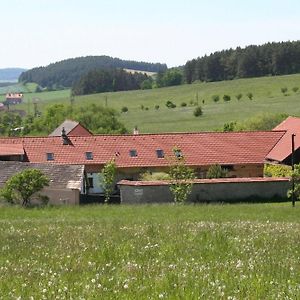 Podkroví v Jihočeském Statku Casa de hóspedes Nemejice Exterior photo