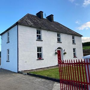 Entire Farmhouse In Tipperary Vila Nenagh Exterior photo