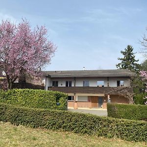 Apartments In Leafy Suburb Kehrsatz Exterior photo