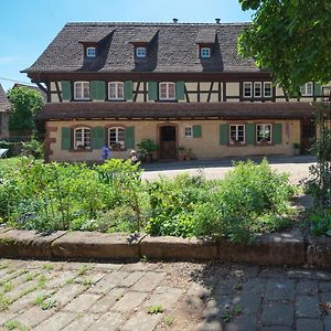 Au Fil Du Temps Acomodação com café da manhã Imbsheim Exterior photo