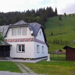 Casa Dumitru Si Elena Ciocanesti Bucovina Vila Exterior photo