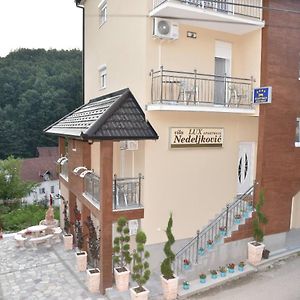 Vila Lux Nedeljkovic Gornja Trepca Apartamento Čačak Exterior photo
