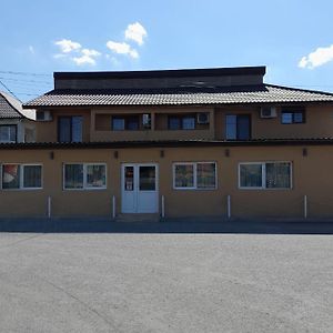 Pensiunea Albert Hotel Harsova Exterior photo