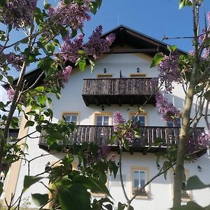 Penzion Henke Hotel Srbská Kamenice Exterior photo