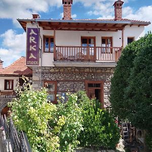 Arka Metsovo Hotel Exterior photo