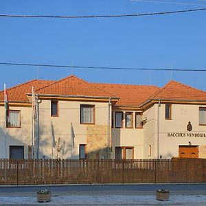 Bacchus Vendégház Hotel Erdőbénye Exterior photo