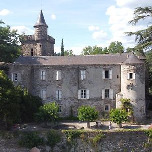 Le Château de Cambiaire Acomodação com café da manhã Saint-Etienne-Vallee-Francaise Exterior photo