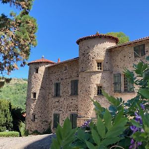 Chateau Paysan Ecolobio De Durianne Acomodação com café da manhã Le Monteil  Exterior photo