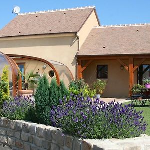 Maison De Charme En Berry Pres D'Un Golf & Spa, Jardin D'Hiver, Velos, Animaux Bienvenus - Tout Inclus - Fr-1-591-332 Vila Pouligny-Notre-Dame Exterior photo