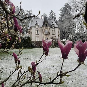 Chateau Maleplane Acomodação com café da manhã Saint-Léonard-de-Noblat Exterior photo