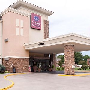 Comfort Suites East Lincoln - Mall Area Exterior photo