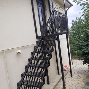 Mi Casa Es Tu Casa Apartamento Iasi Exterior photo