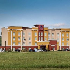 Comfort Suites Near Tanger Outlet Mall Gonzales Exterior photo