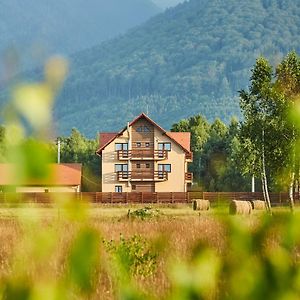 Pensiunea Piemont Hotel Vistisoara Exterior photo