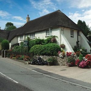 Wellington Farm Devon Near Sidmouth Beach & Aonb- Dog Friendly Vila Honiton Exterior photo