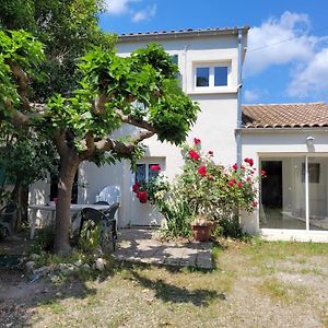 L'Occitania Vila Lezignan-la-Cebe Exterior photo