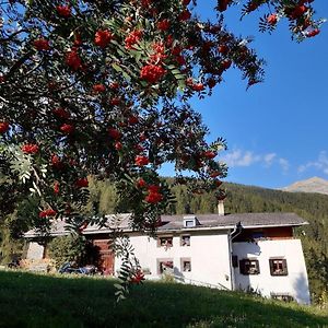 Fuldera Daint Chasa Zanoli Whg Im Zweiten Stock Apartamento Exterior photo