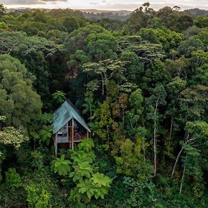 Rose Gums Wilderness Retreat Vila Butchers Creek Exterior photo