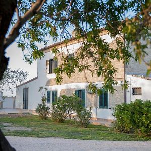 Masseria Piana Cimino Acomodação com café da manhã Pietra Montecorvino Exterior photo