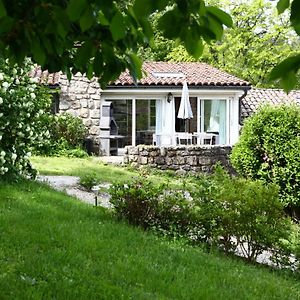 Les Grangeonnes, Gites Nature, Piscine, Sauna Pour Accueil Familiale Ou De Groupe Saint-Basile Exterior photo