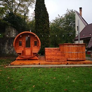 Castelul De Smarald Acomodação com café da manhã Pîngărăciori Exterior photo