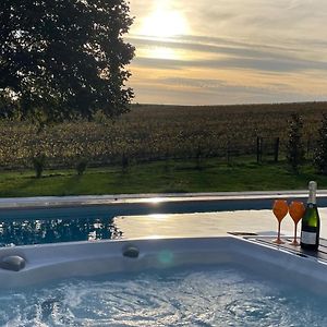 Best View, Pool And Spa On The Champagne Vineyard Apartamento Saint-Thierry Exterior photo