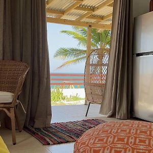 Casita Del Mar Oceanfront Romantic Retreat In Islote Apartamento Arecibo Exterior photo