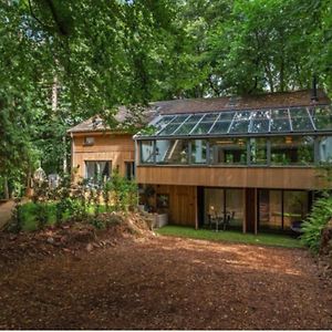 5 Star Luxury Woodland Retreat Sleeps 12 Hot Tub Sauna Vila Clapton in Gordano Exterior photo