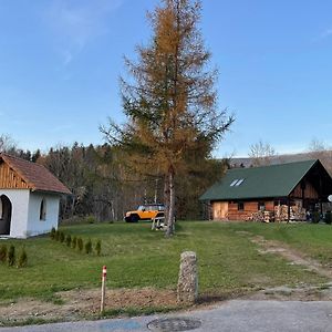 Berghuette - Chalet Fuer Max 5 Personen - Schwarzenberg Am Boehmerwald Vila Schwarzenberg am Bohmerwald Exterior photo