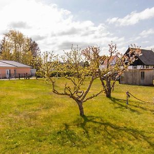 Bungalow In Lubmin Vila Exterior photo