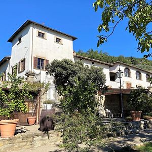 Apartment Villa Grassina-1 By Interhome Pelago Exterior photo