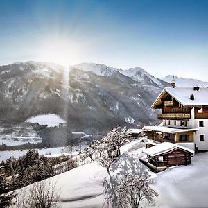 Kaeferhof Apartment In A Perfect Location For Hiking Dorf  Exterior photo