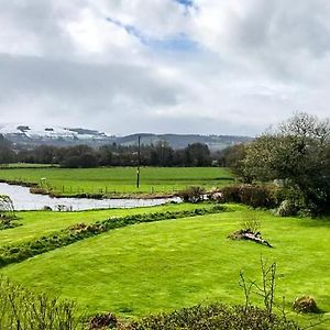 Riverside Chalet In Heart Of Lampeter, West Wales Exterior photo