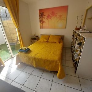 Le Ti'Margoze Superbe Studio Entierement Renove Apartamento Saint Pierre Exterior photo