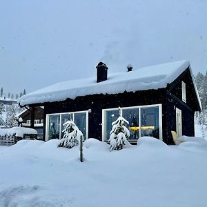 Great Cabin In Hemsedal Wifi Golf Ski Eldorado Vila Exterior photo