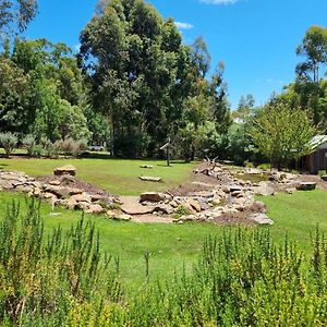 D'Altons Studios Halls Gap Exterior photo