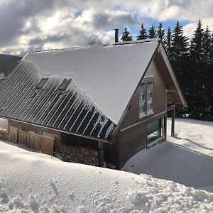 Mountain Chalet Vila Kořenov Exterior photo