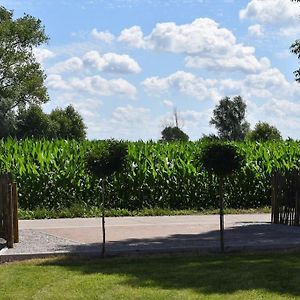 Cosy Cott, Een Verborgen Logeerplek In Het Landelijke Poeke. Vila Aalter Exterior photo