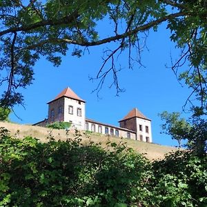 Château de Gorze Apartamento Germolles-sur-Grosne Exterior photo