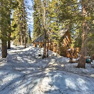 Bear Valley Cabin - Ski To Cross Country Trails! Vila Tamarack Exterior photo