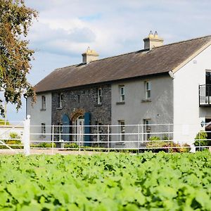 The Granary, Luxuriously Restored Barn On A Farm Thurles Exterior photo