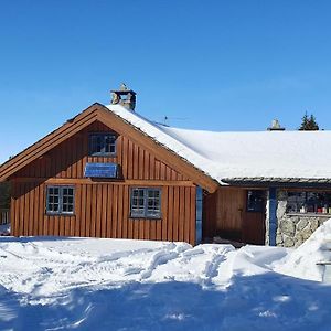 Cozy Log Cabin At Beautiful Nystolsfjellet Vila Gol Exterior photo