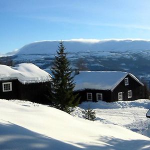 Hjartdal Fjellstoge & Storhytte Vila Exterior photo