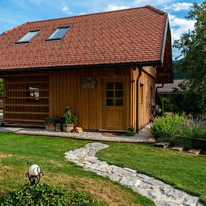 Glamping Happiness With Sauna And Natural Pool Vila Ribnica Exterior photo