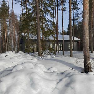 Norvalisma Vila Rovaniemi Exterior photo