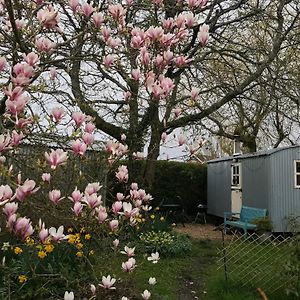 The Wayside Shepherd Hut Vila Beaulieu Exterior photo